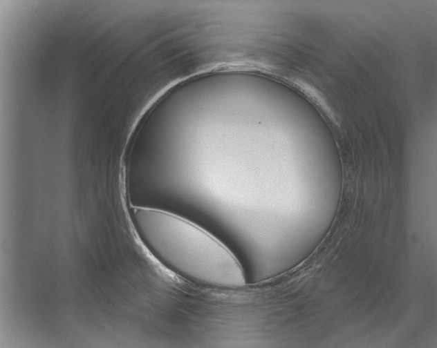 X0000076441476200610061012