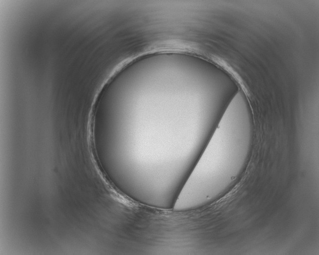 X0000076441477200610061012