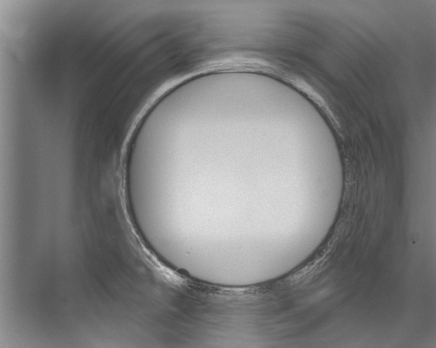 X0000076441478200610061012