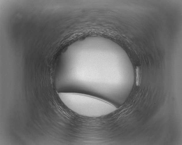 X0000076441491200610061011