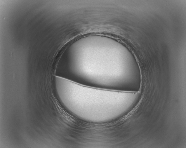 X0000076441497200610061011