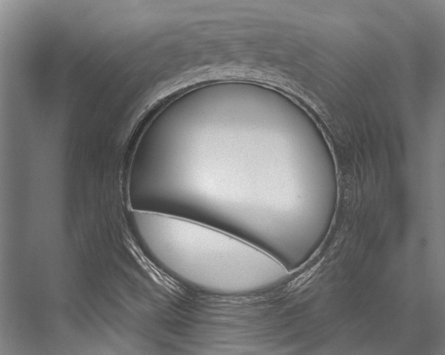 X0000076441499200610061011