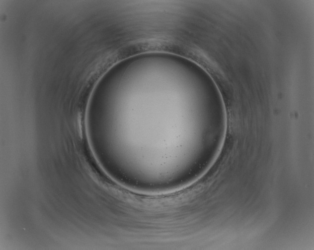 X0000076440022200610061309