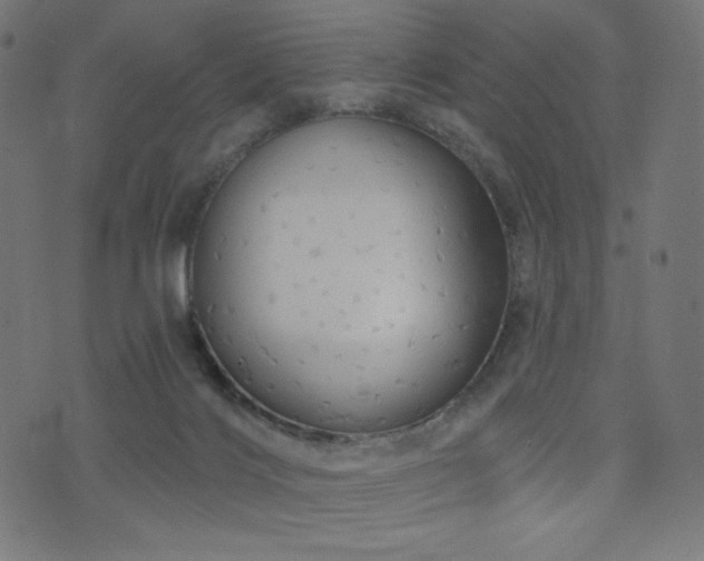X0000076440028200610061308