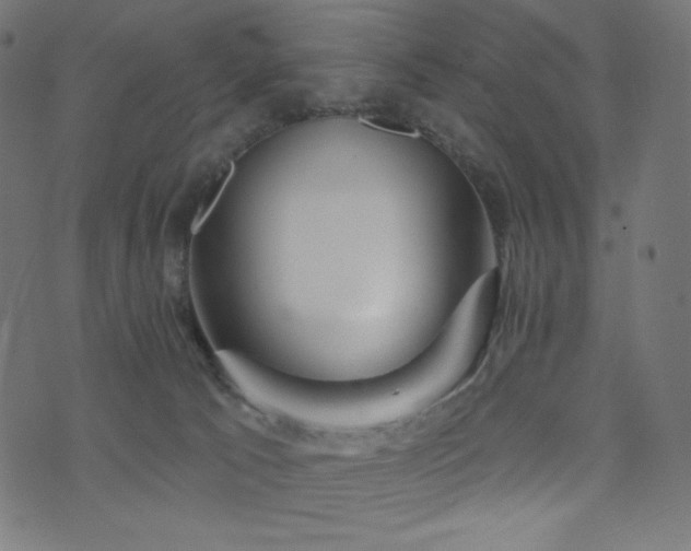X0000076440033200610061308