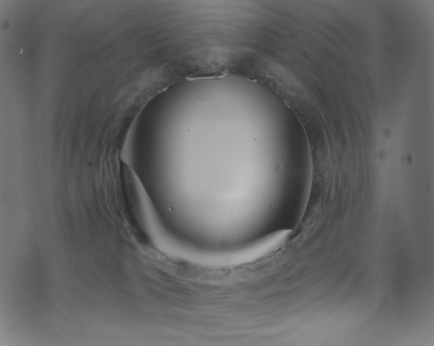 X0000076440037200610061308