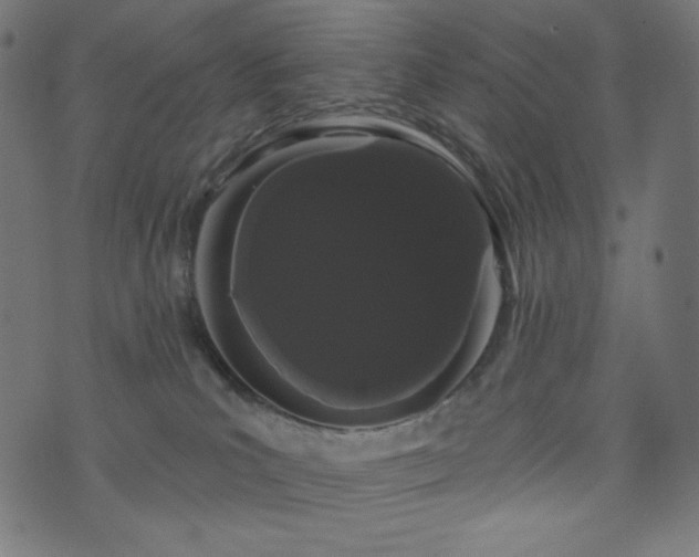 X0000076440039200610061308