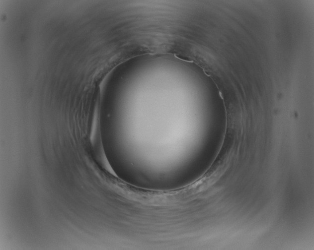 X0000076440040200610061308