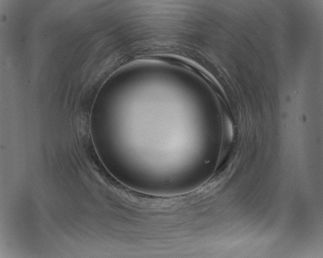 X0000076440044200610061308