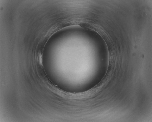 X0000076440046200610061308