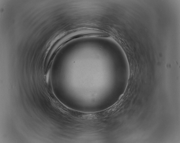 X0000076440050200610061307