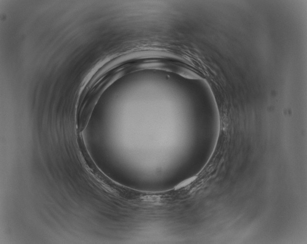 X0000076440052200610061307