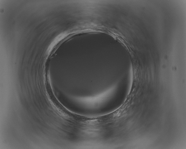 X0000076440054200610061307