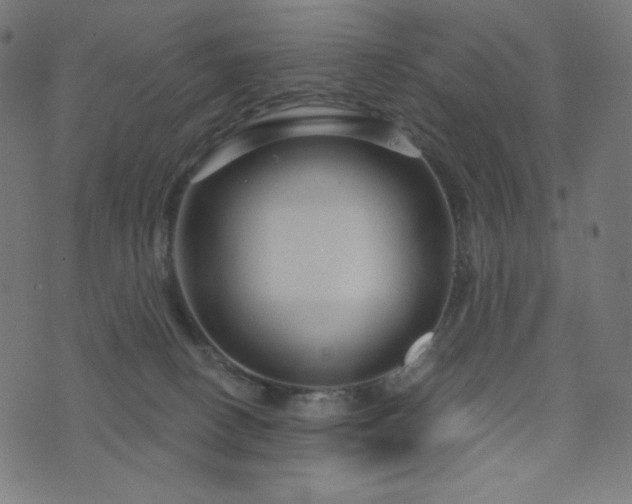 X0000076440082200610061308