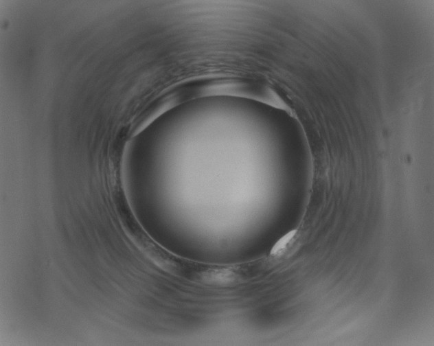X0000076440086200610061308