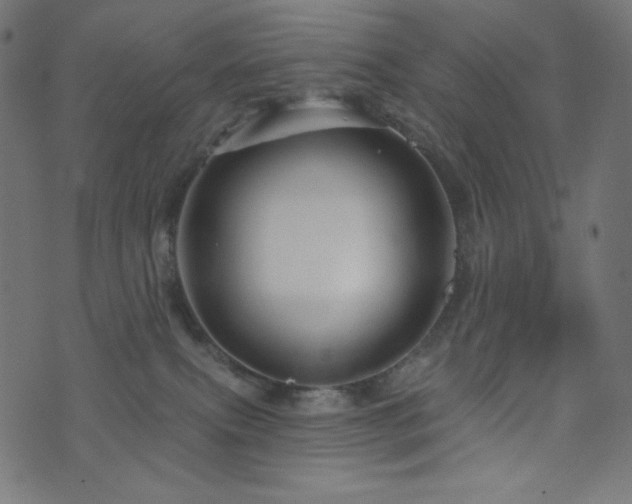 X0000076440087200610061308