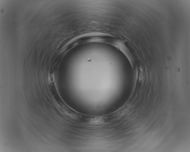 X0000076440088200610061308