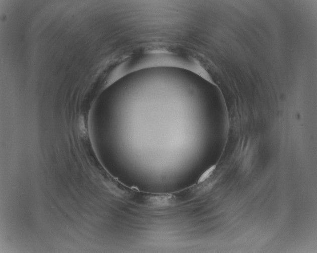 X0000076440089200610061308