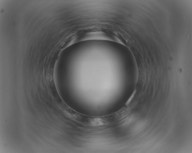 X0000076440091200610061308