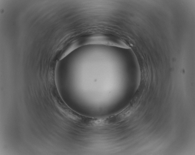 X0000076440092200610061308