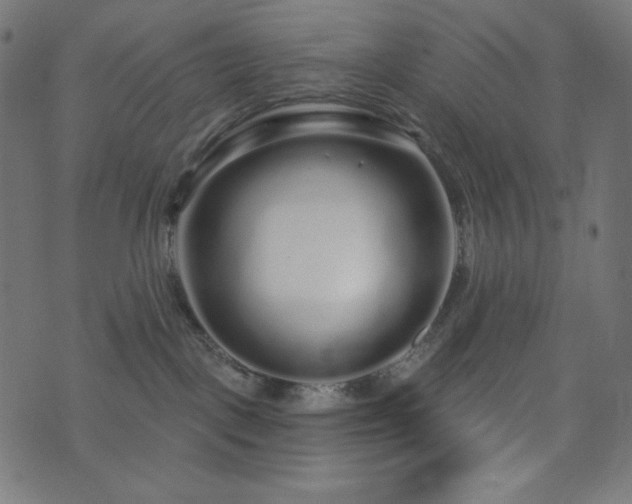 X0000076440093200610061308