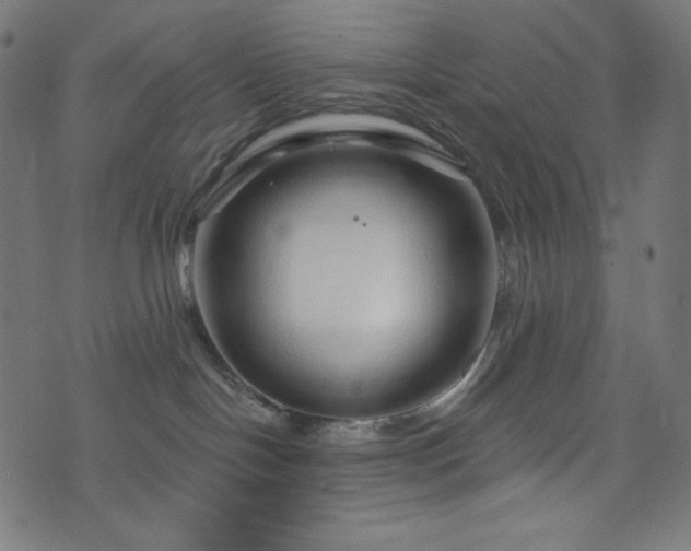 X0000076440094200610061308