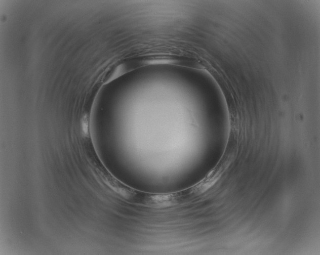 X0000076440095200610061308