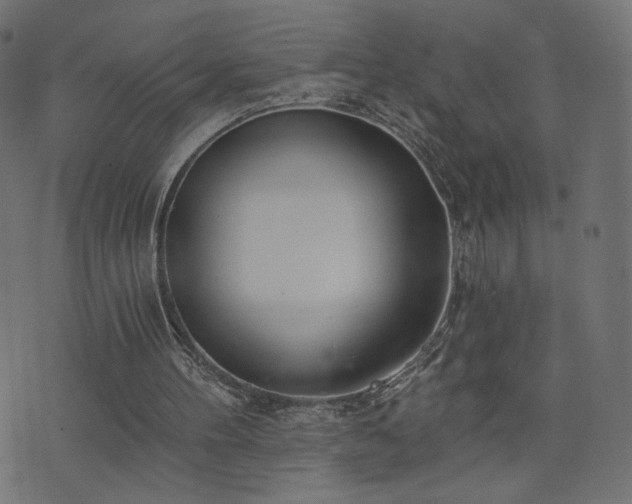 X0000076440100200610061307