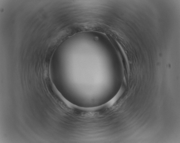 X0000076440129200610061307