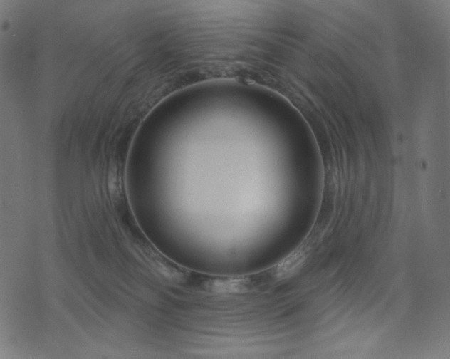 X0000076440134200610061307