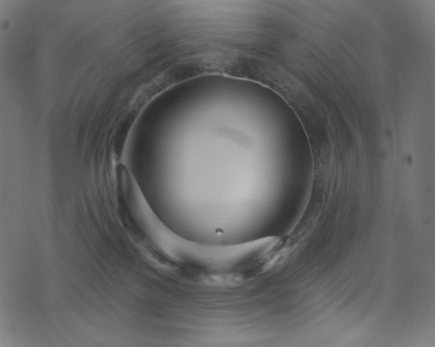 X0000076440137200610061307