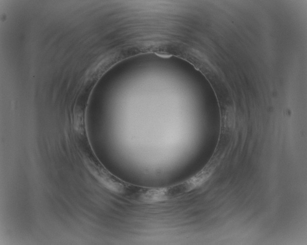 X0000076440138200610061307