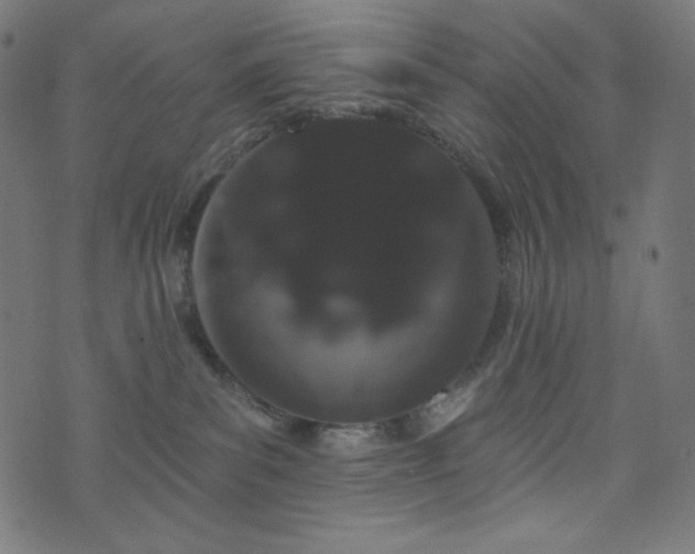 X0000076440139200610061307
