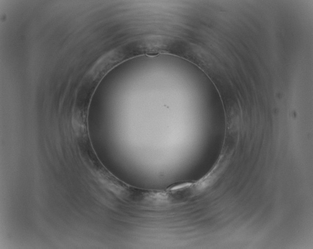 X0000076440140200610061307