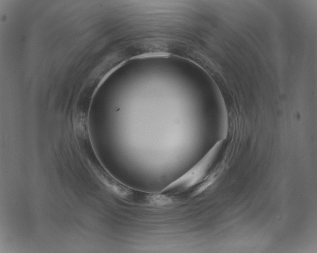 X0000076440141200610061307