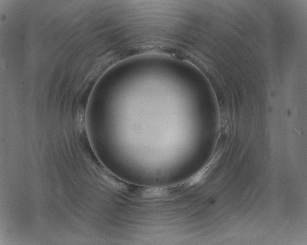 X0000076440142200610061307