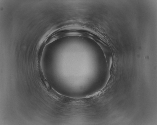 X0000076440150200610061306