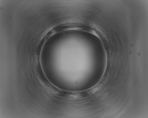 X0000076440164200610061306