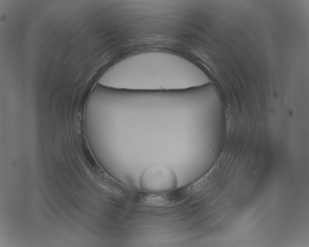X0000076440171200610061306