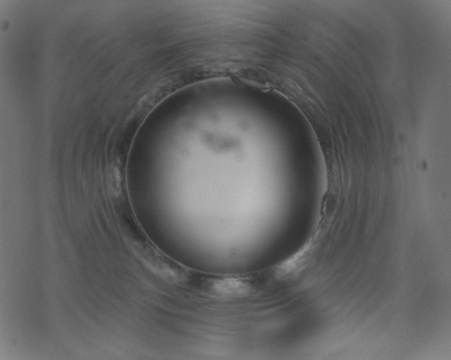 X0000076440183200610061306