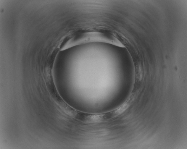 X0000076440184200610061306