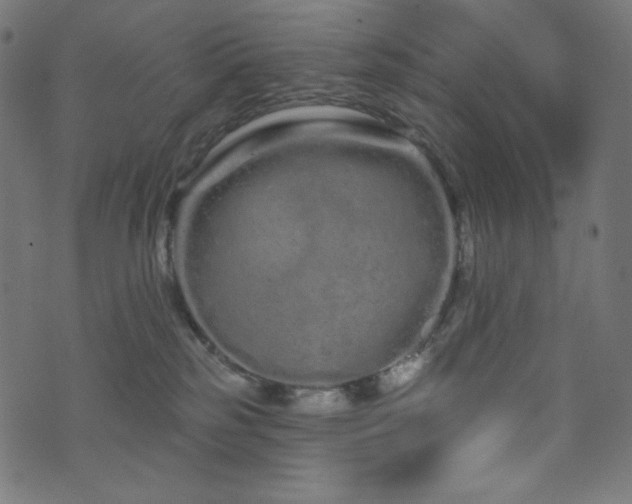 X0000076440185200610061306