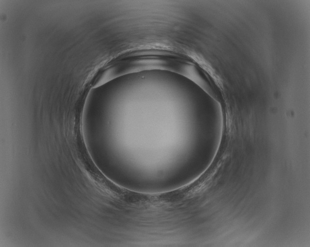 X0000076440201200610061306