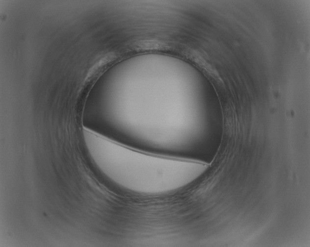 X0000076440207200610061306