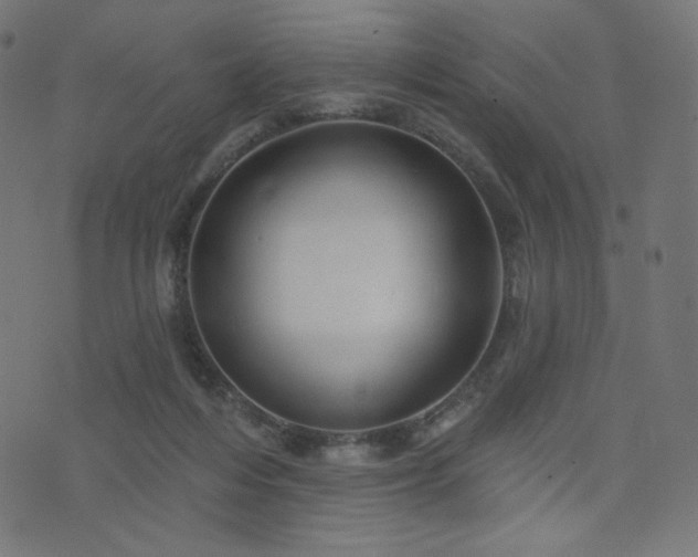 X0000076440216200610061305