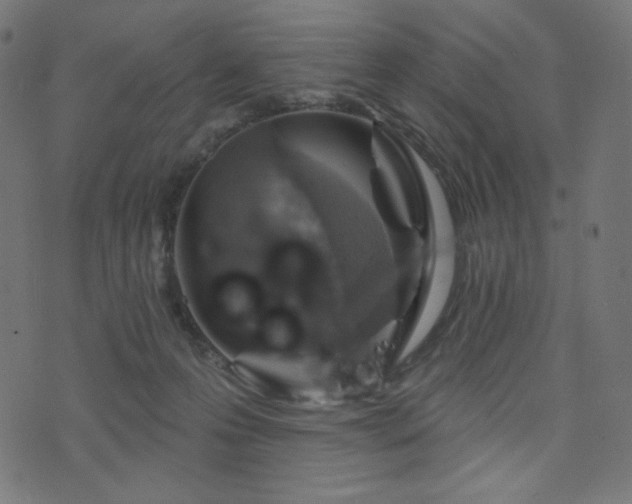 X0000076440223200610061305