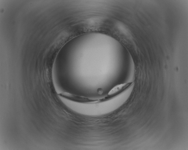 X0000076440224200610061305
