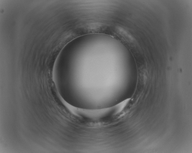 X0000076440225200610061305