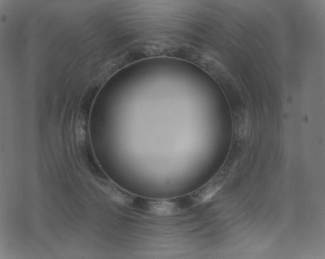 X0000076440226200610061305