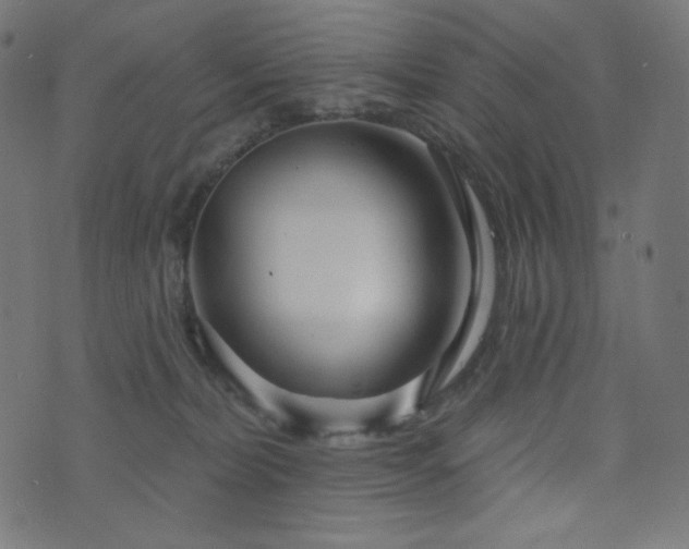 X0000076440228200610061305